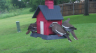 /Birds//Thumbs//found20250502-110553.png 