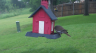 /Birds//Thumbs//found20250502-110924.png 