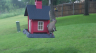 /Birds//Thumbs//found20250502-110953.png 