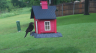 /Birds//Thumbs//found20250502-124600.png 