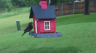 /Birds//Thumbs//found20250502-124634.png 