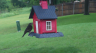 /Birds//Thumbs//found20250502-124719.png 