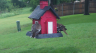 /Birds//Thumbs//found20250502-132158.png 
