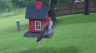 /Birds//Thumbs//found20250502-134644.png 