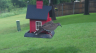 /Birds//Thumbs//found20250502-134651.png 