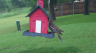 /Birds//Thumbs//found20250502-144742.png 