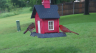 /Birds//Thumbs//found20250502-151732.png 