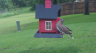 /Birds//Thumbs//found20250502-173810.png 