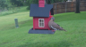 /Birds//Thumbs//found20250502-173844.png 