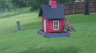 /Birds//Thumbs//found20250502-173912.png 