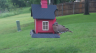 /Birds//Thumbs//found20250502-174000.png 