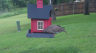 /Birds//Thumbs//found20250502-174049.png 