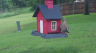 /Birds//Thumbs//found20250502-174125.png 