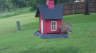 /Birds//Thumbs//found20250502-174129.png 