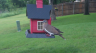 /Birds//Thumbs//found20250502-174313.png 