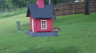 /Birds//Thumbs//found20250502-174511.png 
