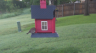 /Birds//Thumbs//found20250503-070449.png 