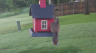 /Birds//Thumbs//found20250503-071326.png 