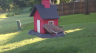 /Birds//Thumbs//found20250503-075115.png 