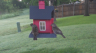 /Birds//Thumbs//found20250504-070051.png 