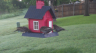 /Birds//Thumbs//found20250504-070128.png 