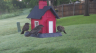 /Birds//Thumbs//found20250504-070237.png 