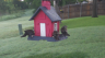 /Birds//Thumbs//found20250504-070252.png 