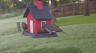 /Birds//Thumbs//found20250504-072912.png 
