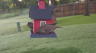 /Birds//Thumbs//found20250504-072935.png 