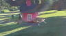 /Birds//Thumbs//found20250504-085725.png 