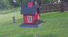 /Birds//Thumbs//found20250505-071719.png 