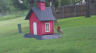 /Birds//Thumbs//found20250505-072240.png 