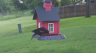 /Birds//Thumbs//found20250505-072340.png 