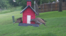 /Birds//Thumbs//found20250505-073414.png 