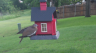 /Birds//Thumbs//found20250505-073457.png 