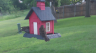 /Birds//Thumbs//found20250505-075127.png 
