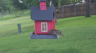 /Birds//Thumbs//found20250505-080810.png 