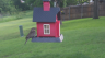 /Birds//Thumbs//found20250505-080836.png 