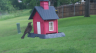 /Birds//Thumbs//found20250505-100221.png 