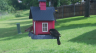 /Birds//Thumbs//found20250505-102725.png 