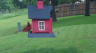 /Birds//Thumbs//found20250506-082249.png 