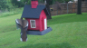 /Birds//Thumbs//found20250506-082411.png 