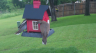 /Birds//Thumbs//found20250506-100153.png 