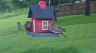 /Birds//Thumbs//found20250506-100208.png 