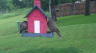 /Birds//Thumbs//found20250506-100233.png 