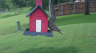 /Birds//Thumbs//found20250506-182759.png 