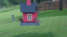 /Birds//Thumbs//found20250506-183917.png 