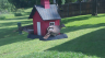 /Birds//Thumbs//found20250507-095804.png 