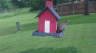 /Birds//Thumbs//found20250507-112033.png 