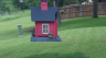 /Birds//Thumbs//found20250507-133911.png 
